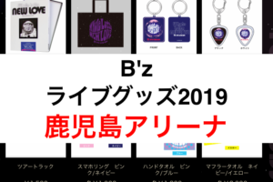 嵐ライブグッズ列や販売時間19 売り切れと並ぶ時間と混雑も Eaksblog