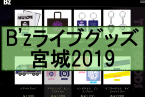 嵐ライブグッズ列や販売時間19 売り切れと並ぶ時間と混雑も Eaksblog